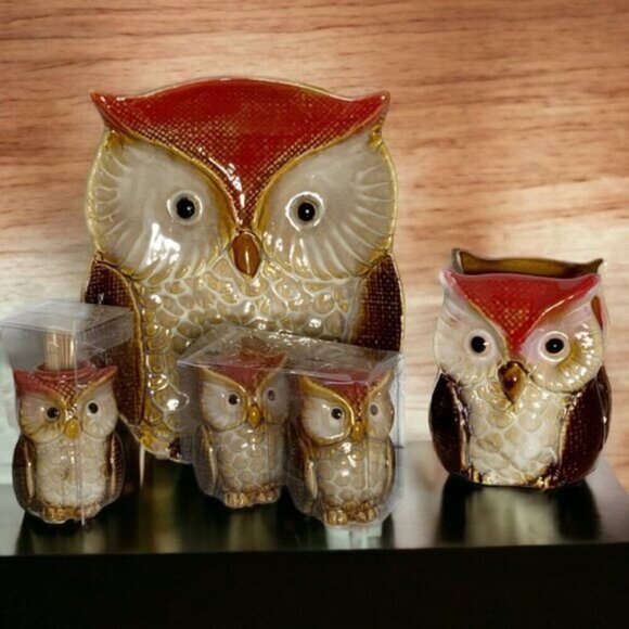 Owl Kitchen Dinning Functional Decor Artisan Glazed Hand Painted Ceramic 4 Piece - Picture 15 of 16